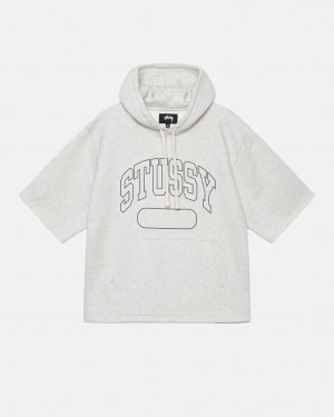 Sudadera con Capucha Stussy Ss Boxy Cropped Hoodie Mujer Gris Chile | CDY-9419